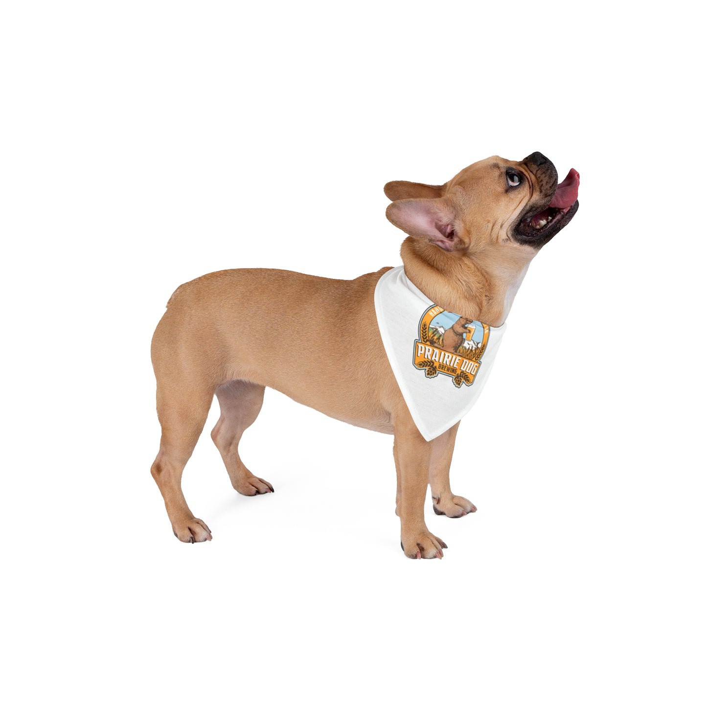 Prairie Dog Pet Bandana