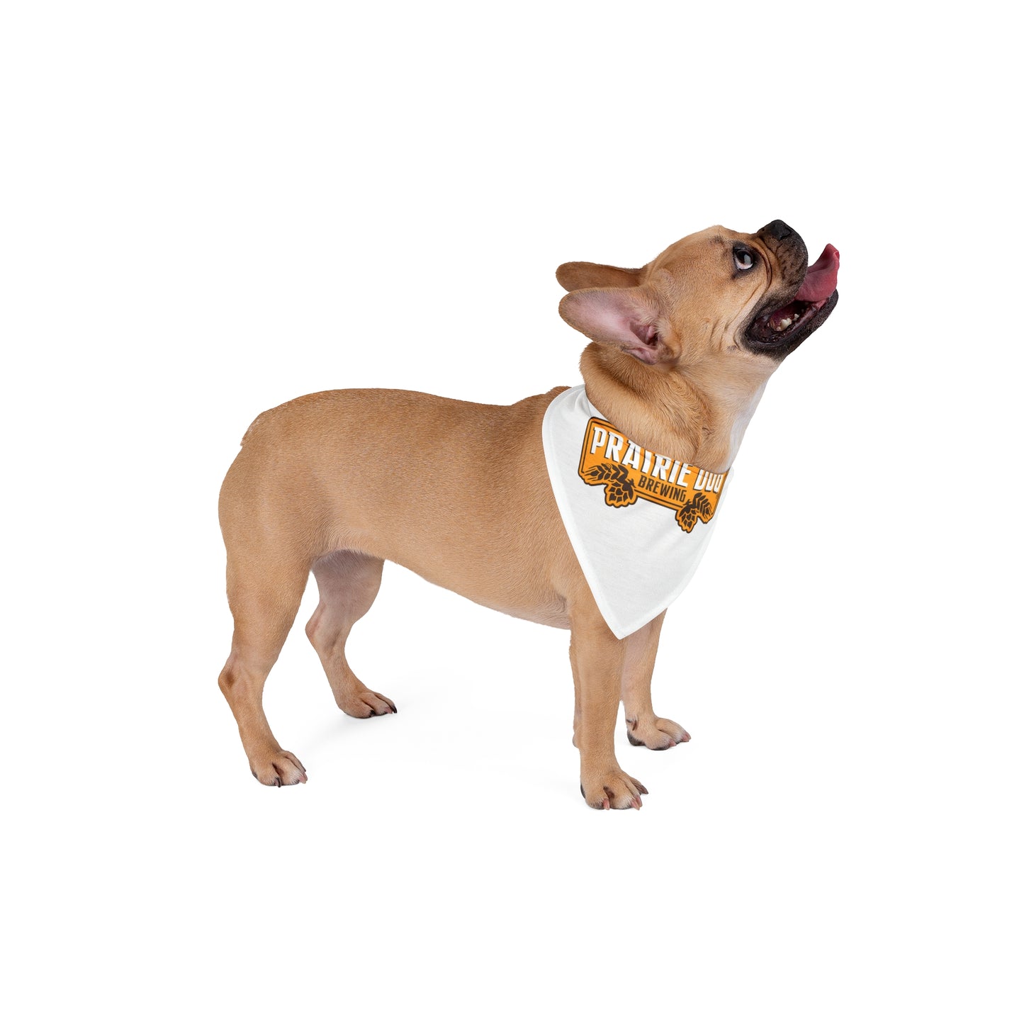 Prairie Dog Pet Bandana